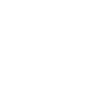 7 Ravensburguer